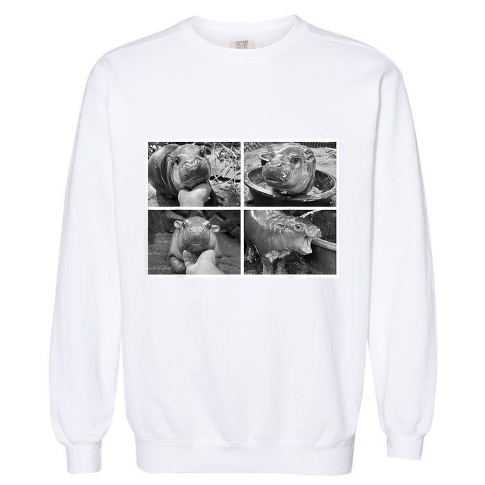Moo Deng Hippo Photo Funny Pygmy Hippopotamus Garment-Dyed Sweatshirt