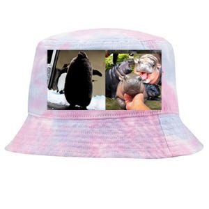 Moo Deng Hippo And Baby Penguin Pesto Tie-Dyed Bucket Hat