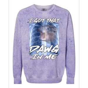 Moo Deng Hippo Funny Ironic Meme Xray I Got That Dawg In Me Colorblast Crewneck Sweatshirt