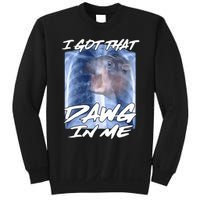 Moo Deng Hippo Funny Ironic Meme Xray I Got That Dawg In Me Sweatshirt