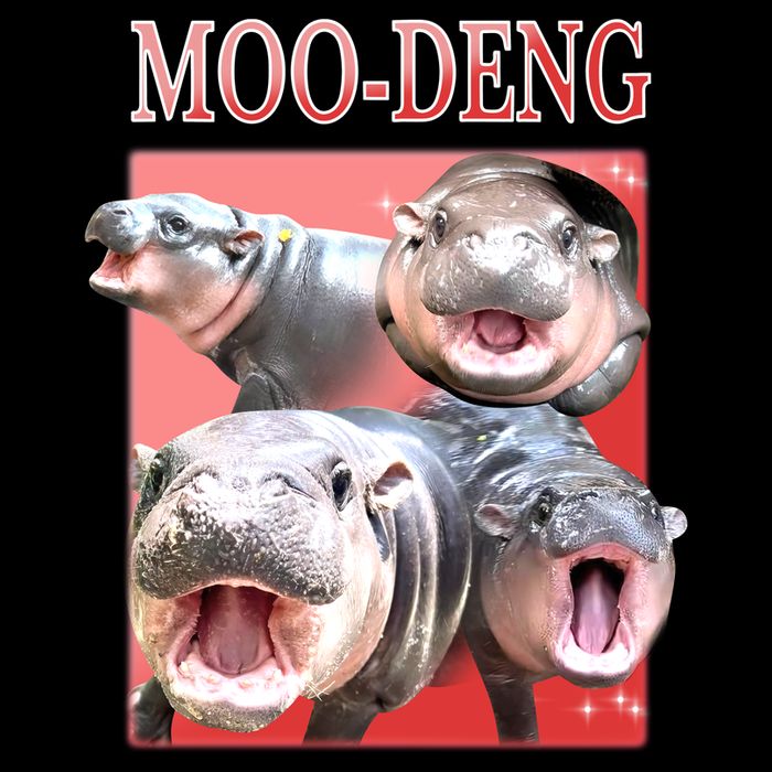 Moo Deng Hippo Meme Funny Bucket Hat
