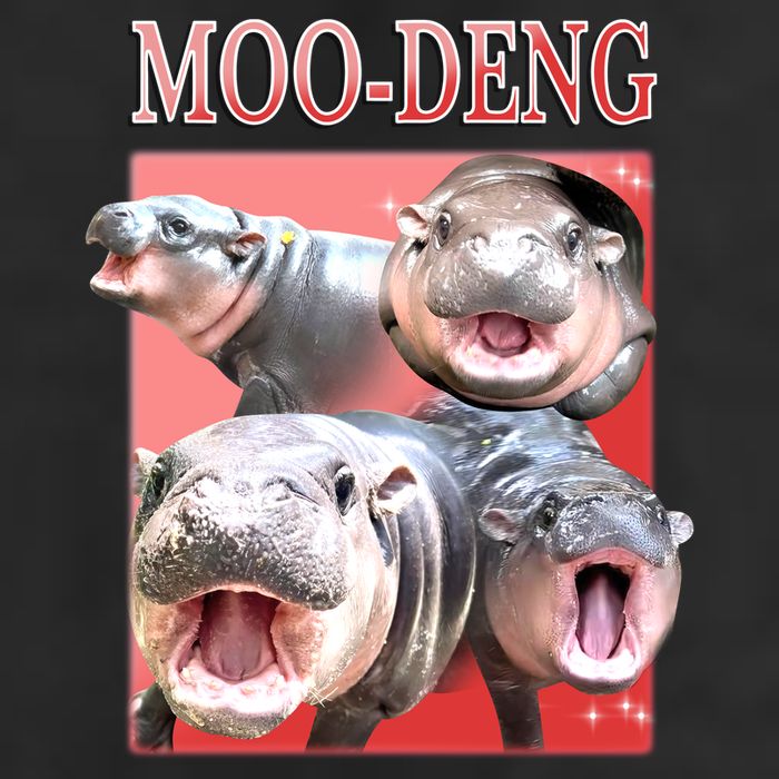 Moo Deng Hippo Meme Funny Microfiber Hand Towel