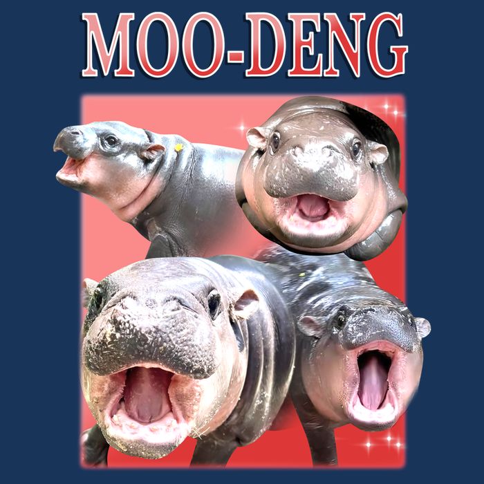 Moo Deng Hippo Meme Funny Infant Baby Jersey Bodysuit
