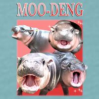 Moo Deng Hippo Meme Funny Sueded Cloud Jersey T-Shirt