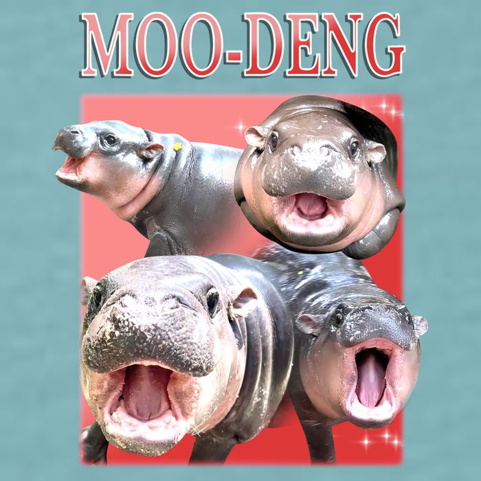 Moo Deng Hippo Meme Funny Sueded Cloud Jersey T-Shirt