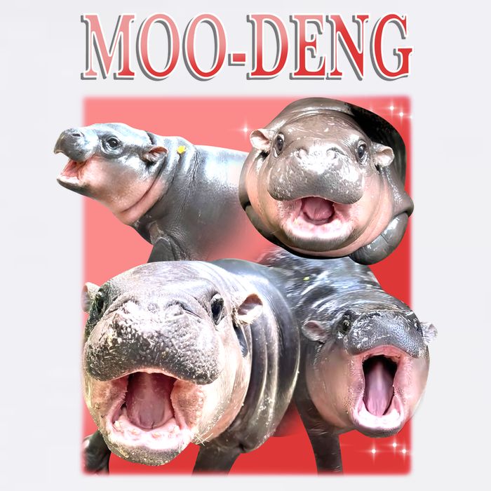 Moo Deng Hippo Meme Funny Garment-Dyed Sweatshirt
