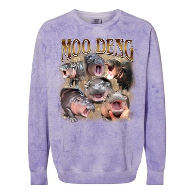 Moo Deng Hippo Meme Funny Animal Colorblast Crewneck Sweatshirt