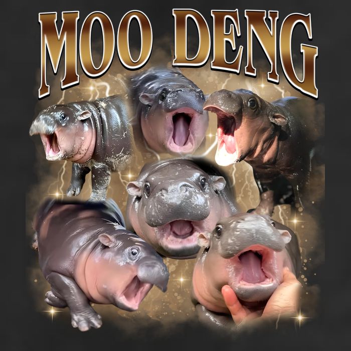 Moo Deng Hippo Meme Funny Animal 7 Panel Mesh Trucker Snapback Hat
