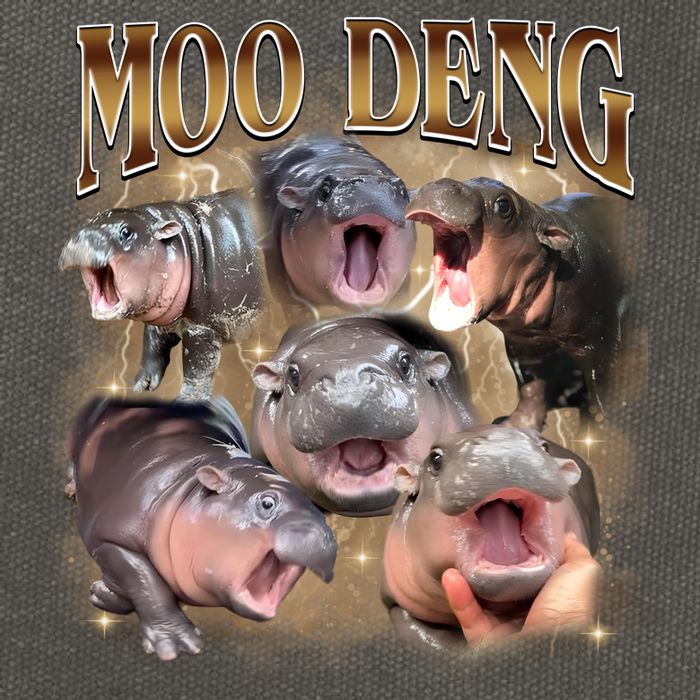 Moo Deng Hippo Meme Funny Animal Cotton Canvas Backpack