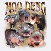 Moo Deng Hippo Meme Funny Animal Poster