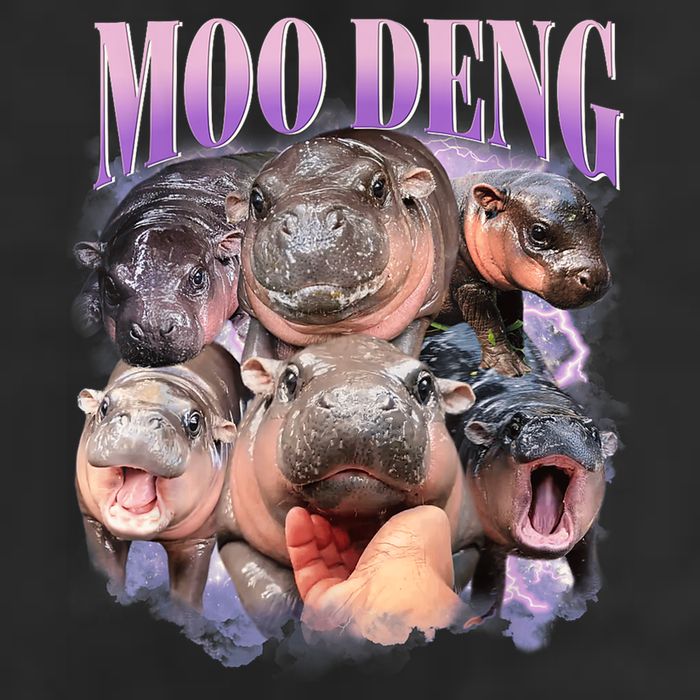 Moo Deng Hippo Meme Funny Garment-Dyed Heavyweight T-Shirt