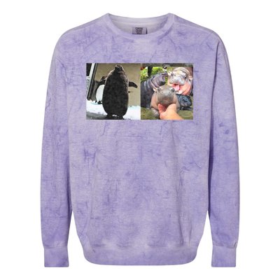 Moo Deng Hippo And Baby Penguin Pesto Colorblast Crewneck Sweatshirt