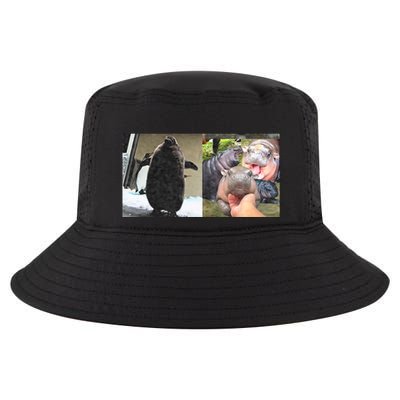 Moo Deng Hippo And Baby Penguin Pesto Cool Comfort Performance Bucket Hat