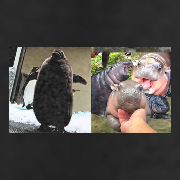Moo Deng Hippo And Baby Penguin Pesto Beanie