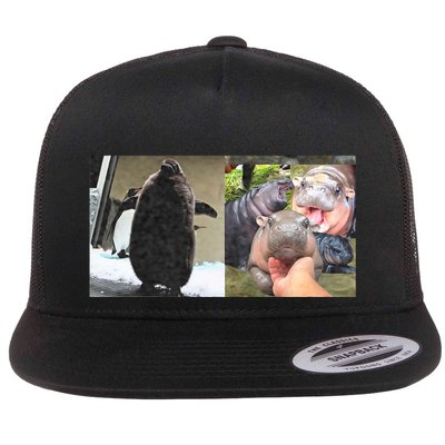 Moo Deng Hippo And Baby Penguin Pesto Flatbill Hat