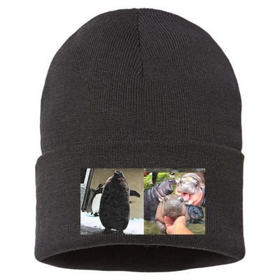 Moo Deng Hippo And Baby Penguin Pesto Sustainable Knit Beanie