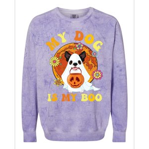 My Dog Is Boo Funny Dog Owner Boo Ghost Lover Halloween Great Gift Colorblast Crewneck Sweatshirt