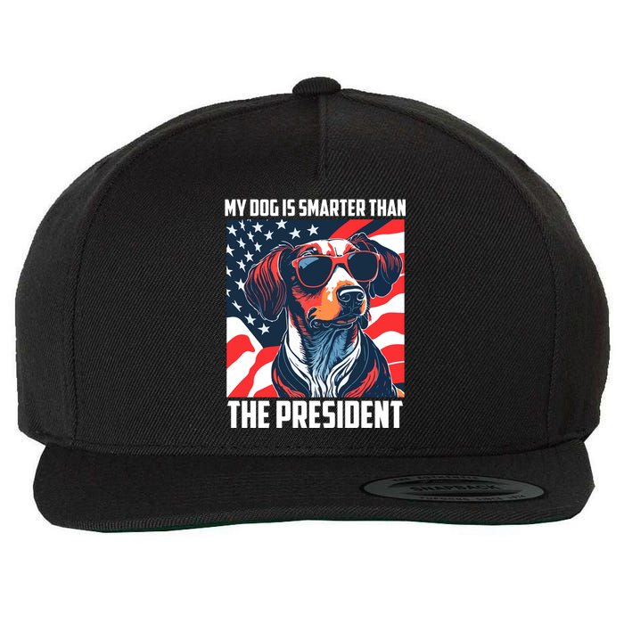 My Dog Is Smarter Than The President  My Dog Is Smarter Than Biden Wool Snapback Cap