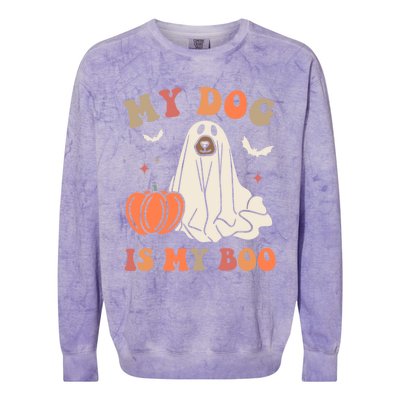 My Dog Is My Boo Halloween Dog Ghost Costume Trick Or Treat Great Gift Colorblast Crewneck Sweatshirt