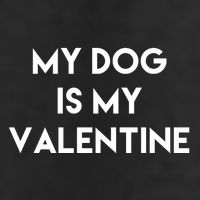 My Dog Is My Valentine Funny Cute 7 Panel Mesh Trucker Snapback Hat