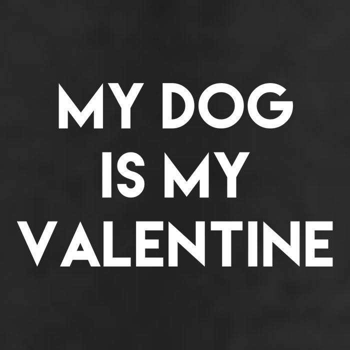 My Dog Is My Valentine Funny Cute 7 Panel Mesh Trucker Snapback Hat