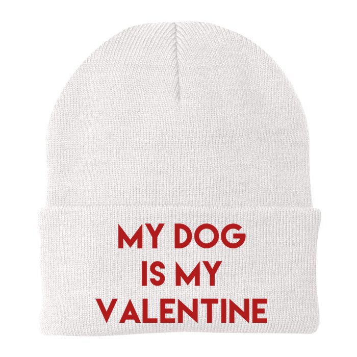 My Dog Is My Valentine Funny Cute Knit Cap Winter Beanie