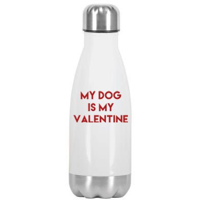 My Dog Is My Valentine Funny Cute Stainless Steel Insulated Water Bottle