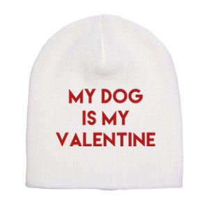 My Dog Is My Valentine Funny Cute Short Acrylic Beanie