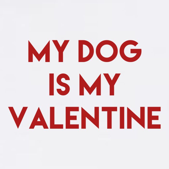 My Dog Is My Valentine Funny Cute Kids T-Shirt
