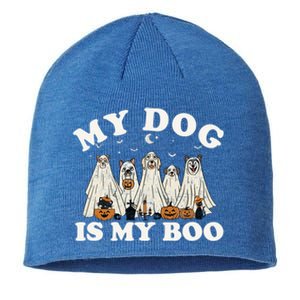 My Dog Is My Boo Halloween Funny Dog Owner Ghost Lover Gift Sustainable Beanie