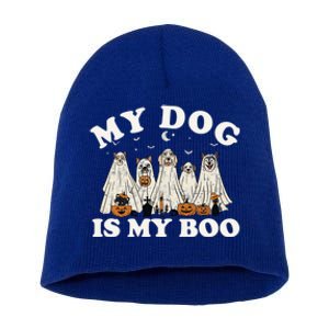 My Dog Is My Boo Halloween Funny Dog Owner Ghost Lover Gift Short Acrylic Beanie