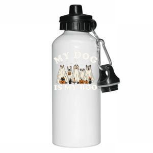 My Dog Is My Boo Halloween Funny Dog Owner Ghost Lover Gift Aluminum Water Bottle