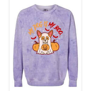 My Dog Is My Boo Cute Gift Colorblast Crewneck Sweatshirt