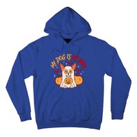 My Dog Is My Boo Cute Gift Hoodie