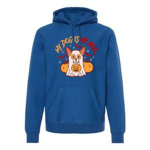 My Dog Is My Boo Cute Gift Premium Hoodie