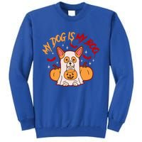 My Dog Is My Boo Cute Gift Tall Sweatshirt