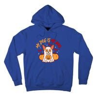 My Dog Is My Boo Cute Gift Tall Hoodie