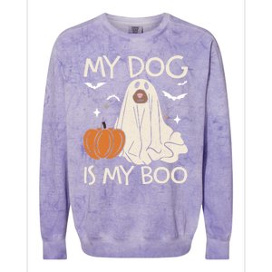 My Dog Is My Boo Funny Ghost Dog Pumpkin Halloween Dog Lover Gift Colorblast Crewneck Sweatshirt