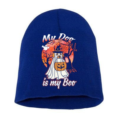 My Dog Is My Boo Funny Halloween Funny Gift Short Acrylic Beanie