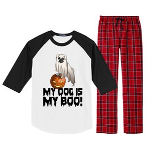 My Dog Is My Boo Halloween Day Scary Great Gift Raglan Sleeve Pajama Set