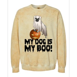 My Dog Is My Boo Halloween Day Scary Great Gift Colorblast Crewneck Sweatshirt