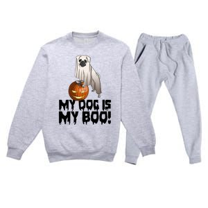 My Dog Is My Boo Halloween Day Scary Great Gift Premium Crewneck Sweatsuit Set