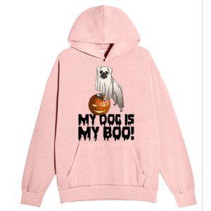 My Dog Is My Boo Halloween Day Scary Great Gift Urban Pullover Hoodie