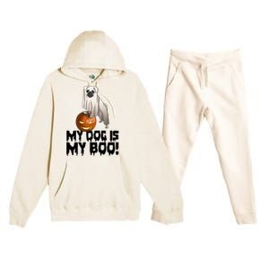 My Dog Is My Boo Halloween Day Scary Great Gift Premium Hooded Sweatsuit Set