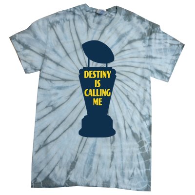 Michigan Destiny Is Calling Me Tie-Dye T-Shirt