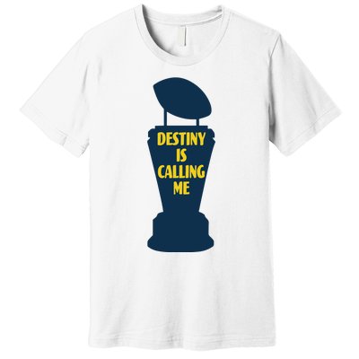 Michigan Destiny Is Calling Me Premium T-Shirt