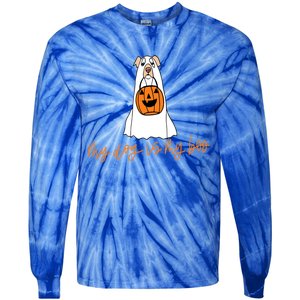 My Dog Is My Boo Ghost Halloween Dog Lover Gift Tie-Dye Long Sleeve Shirt