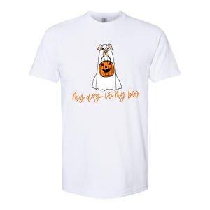 My Dog Is My Boo Ghost Halloween Dog Lover Gift Softstyle CVC T-Shirt