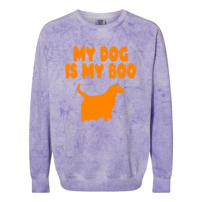 My Dog Is My Boo Halloween Funny Colorblast Crewneck Sweatshirt