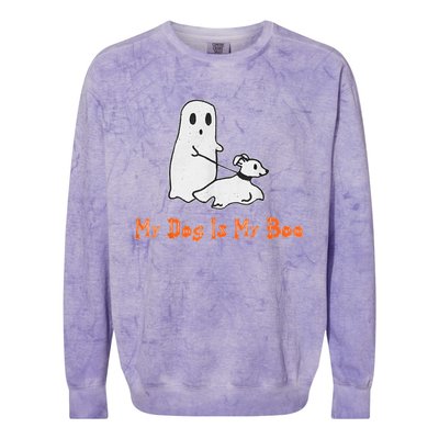 My Dog Is My Boo Ghost Halloween Dog Lover Colorblast Crewneck Sweatshirt